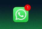 तुमचा मित्र संकटात आहे; WhatsApp वर असा मेसेज आला असेल तर सावधान 