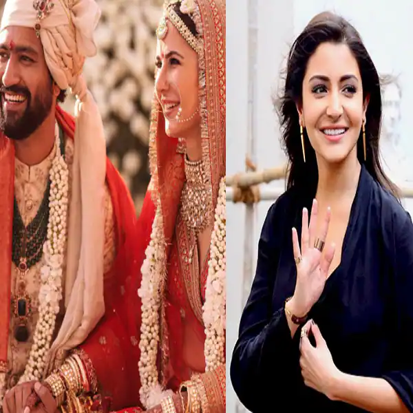 विकी-कॅट तुम्ही नवीन घरात गृहप्रवेश कराल आणि आता आम्हाला... 