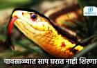 Snake Facts :  पावसाळ्यात साप घरात नाही शिरणार, ते चार जबरदस्त उपाय… खबरदारी घेतल्यानेच धोका टळणार