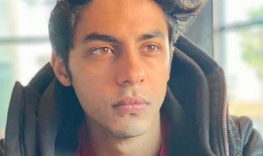 आर्यन खानसाठी शिवसेनेचे राज्यमंत्री यांनी सुप्रीम कोर्टात याचिका दाखल केली