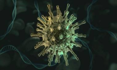 अल्फा, डेल्टानंतर आता…; WHO नं केलं जाहीर!