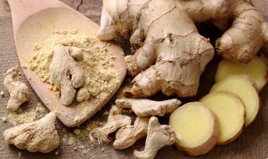 फक्त सर्दी-खोकलाच नव्हे तर इतक्या आजारांवर सुंठ आहे फायदेशीर