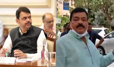 भाजपात जणू फडणवीस एकटेच चाणक्य उरले आहेत