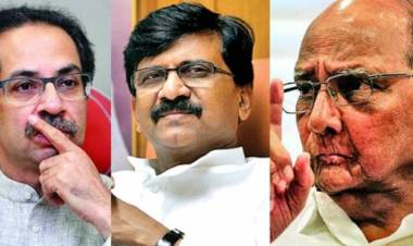 बारसूबाबत शरद पवारांच्या भूमिकेशी असहमत?