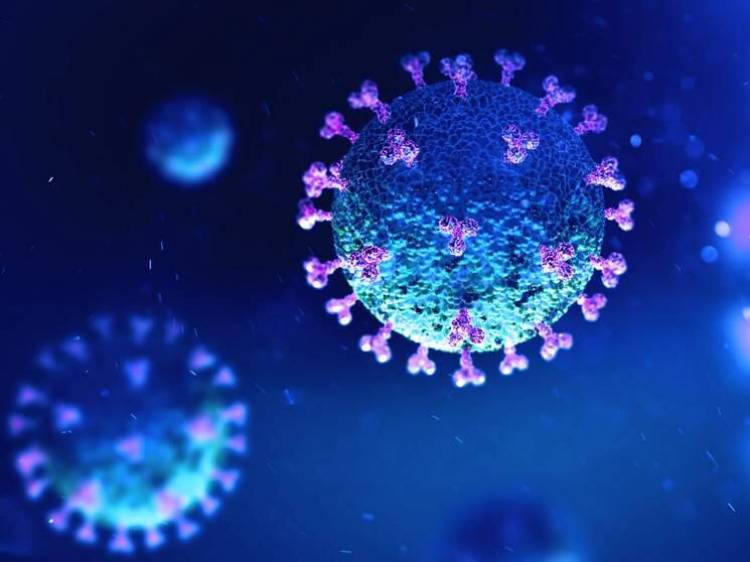 ओमिक्रॉन मुळे मृत्यूचा धोका किती ?