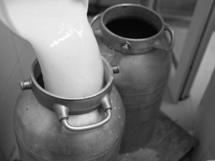 शेतकऱ्यांना आधार; गायीच्या दूधदरात अखेर वाढ?