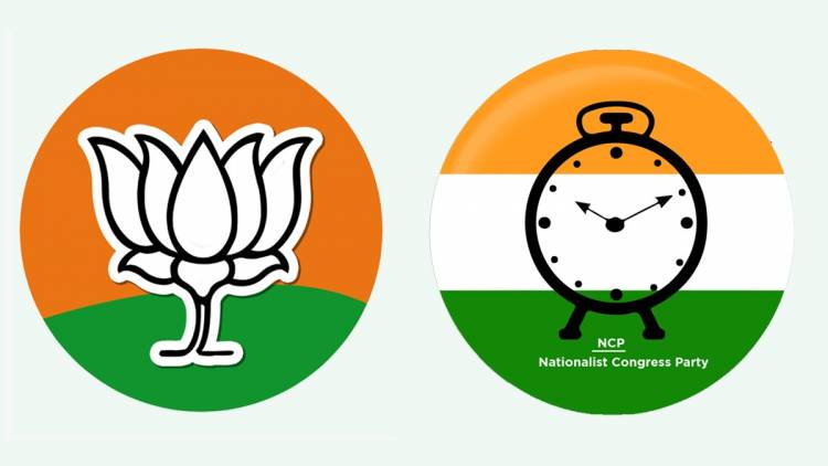 सत्तेतून पायउतार होताच भाजपला लागला शोध