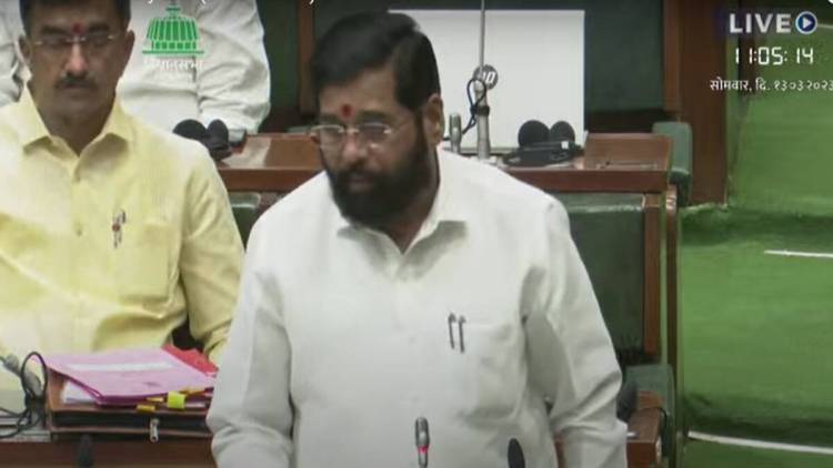 शेतकऱ्यांना दिलासा! कांद्याला प्रतिक्विंटल ३०० रुपये सानुग्रह अनुदान देण्याची मुख्यमंत्र्यांची घोषणा